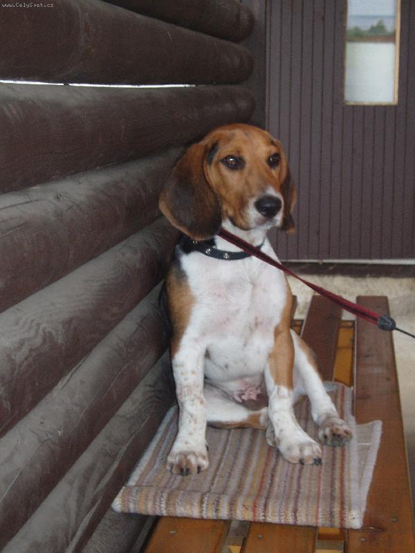 Foto: Na�e zlobidlo-Na�e zlobidlo