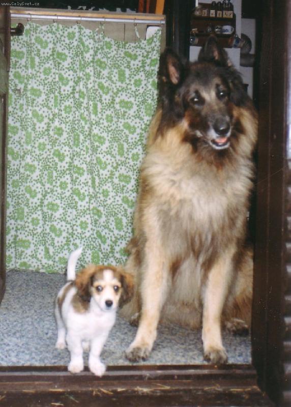 Foto: M�j milovan� Cliff (Dino Rudolfovsk� sk�la CZ) s Maxem-Ma�� Max a jeho bodygard Cliff