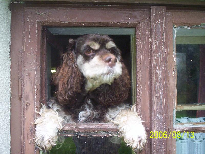 Foto: rozhled na cel� sv�t-v�hled z okna