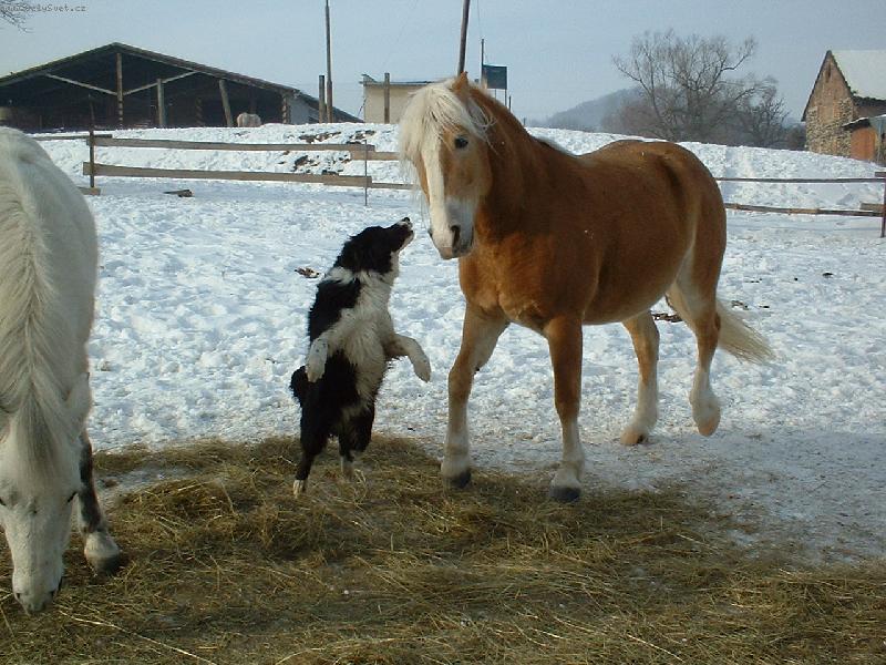 Foto: Ta�i a Cindy-Sk��e� jak tajtrdl�k...