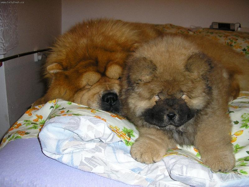 Foto: M�a a Nelinka-Pros�me neru�it