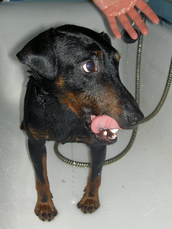 Foto: Argo-A v�n� je to koup�n� nezbytn�???