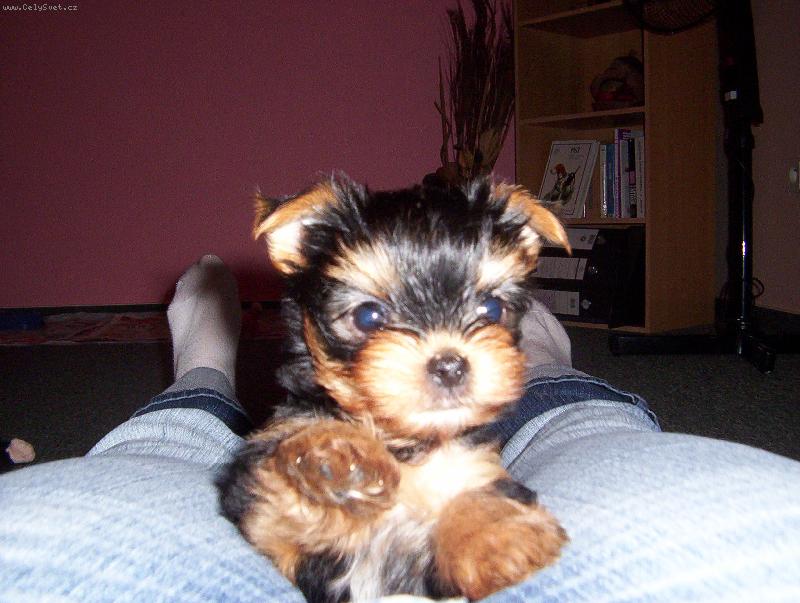 Foto: Na�e 8 t�denn� �t���tko Nelinka-Pozn�v�m r�da sv�t