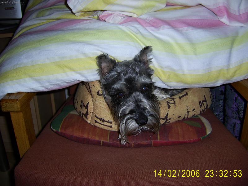 Foto: na�e Nelinka-neru�te,sp�m