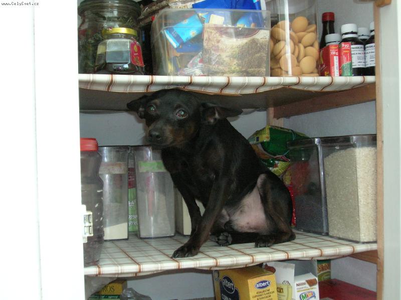 Foto: Leonek-n� mil��ek,kdy� si wyb�r� ob�d:D