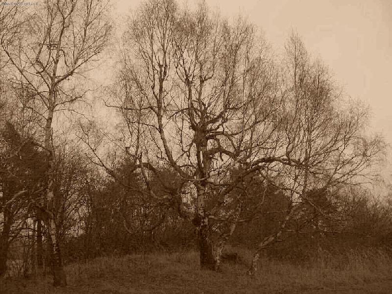 Foto: Jsem star�� ne� foto