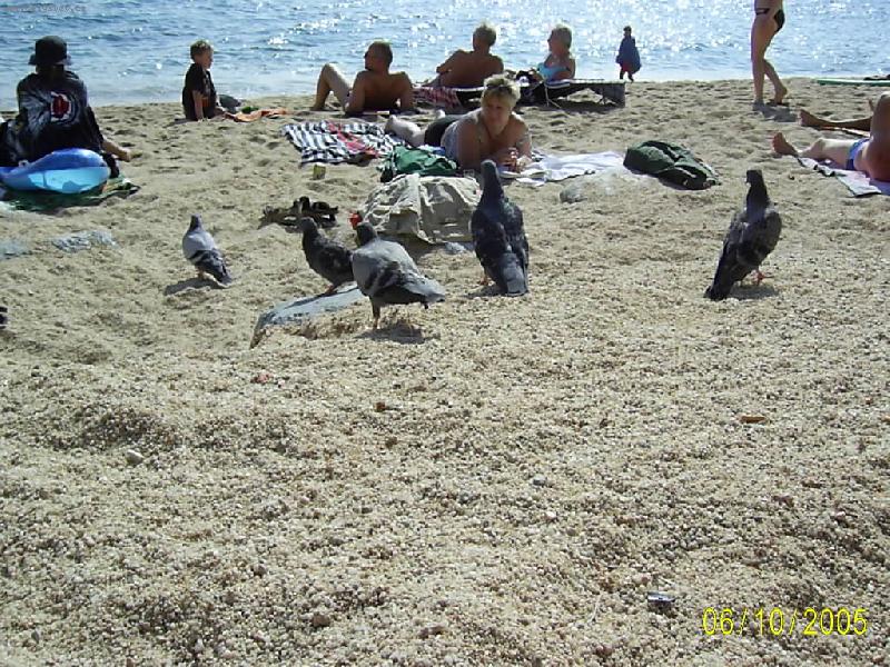 Foto: pl�-Kdo to je na pl�i?