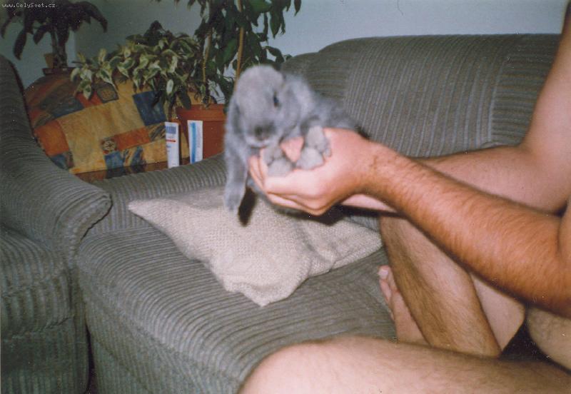 Foto: Mickey �u��-Po��d t� sleduji.....