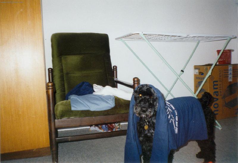 Foto: Co jsi to na m� dala?-Jsem sce k��enec, ale snad to neva...