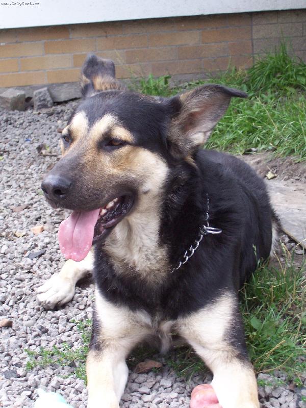 Foto: Bingo�ek-je n�dhern� �e?