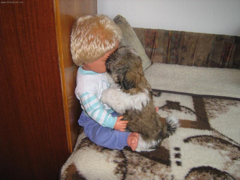 Foto: ...tak hernajs,kde m� ten �um�k ?...-Sindulinka v akci...