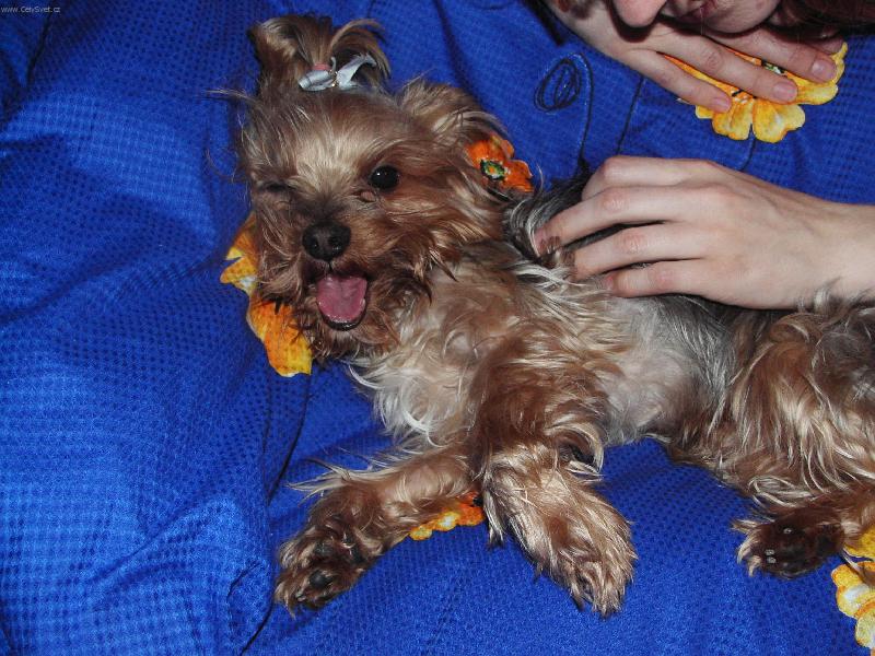 Foto: Jeje...����,l�o pl�o-To se m�m,to je pohodi�ka...hmmm,jen pokra�uj...