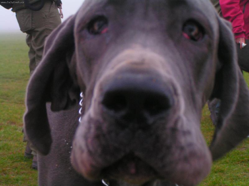 Foto: detail 8m�s�c�