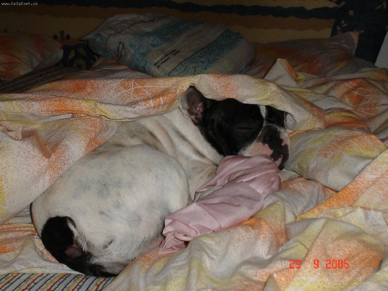 Foto: Omar-Nen� nad to, po��dn� se zakutat......