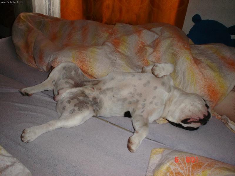 Foto: Omar-......spink�