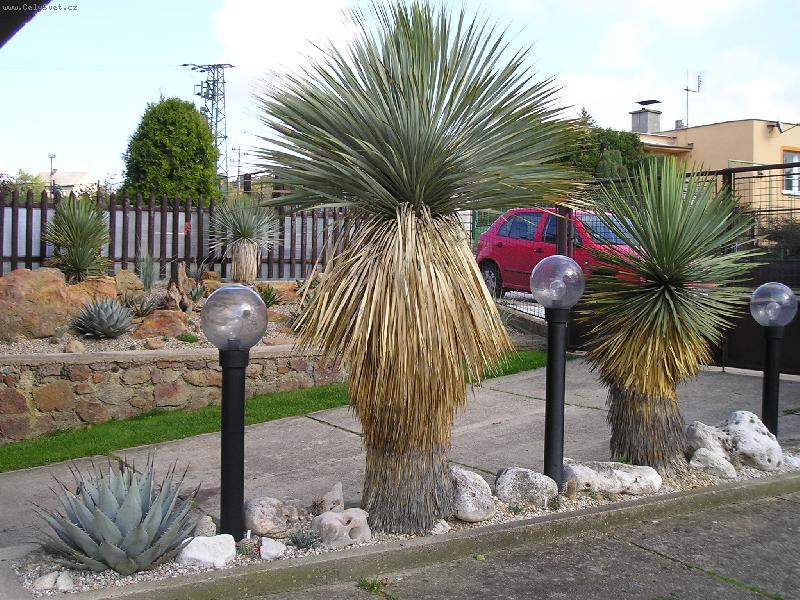 Foto: Juky u n�s-M�j kousek Arizony