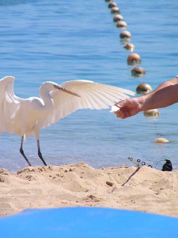 Foto: Nestrkej tu ruku tak bl�zko