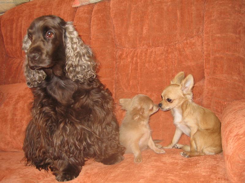 Foto: Spravna trojka-... a prece se mame radi