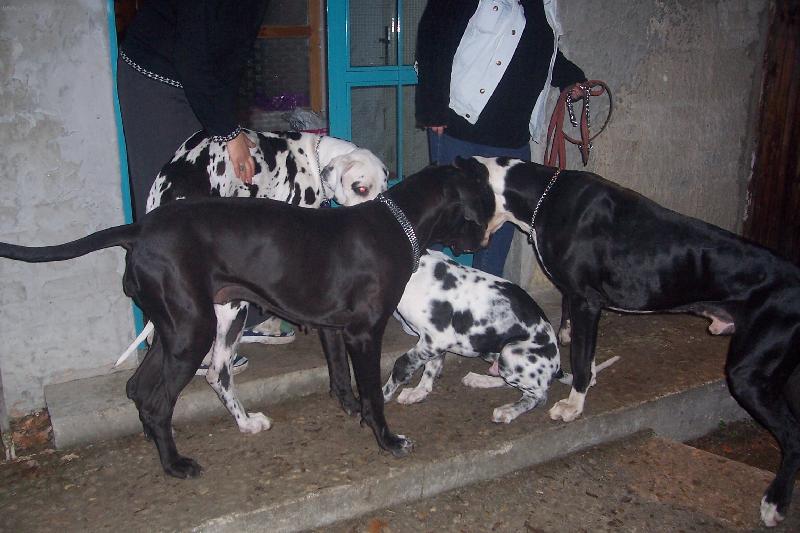 Foto: Bubi na n�v�t�v�