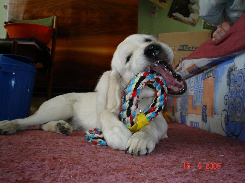 Foto: Bastien-ni�itel