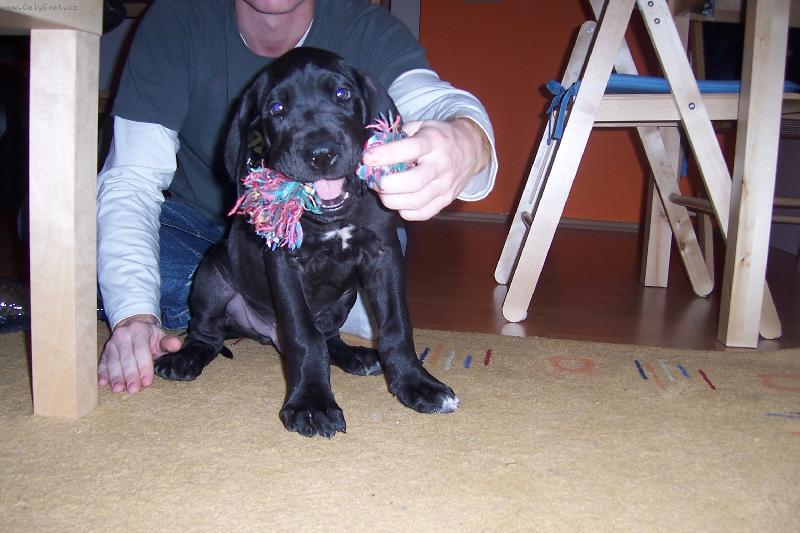 Foto: To m�m p�knou hra�ku co??