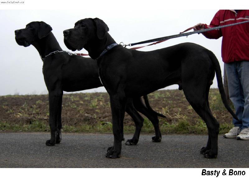 Foto: Br�kov� na proch�zce-Bastien & Bonif�c