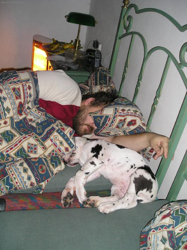 Foto: Tak se u n�s spink�-p�ne�ek a mal� Bonaparte Regia Uttis