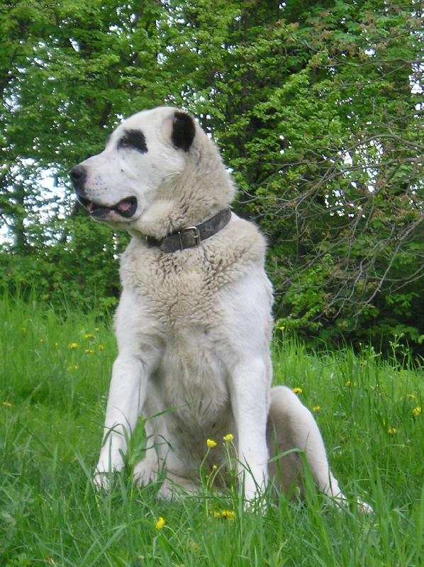 Foto: �ing Borojo-st��� 2 roky