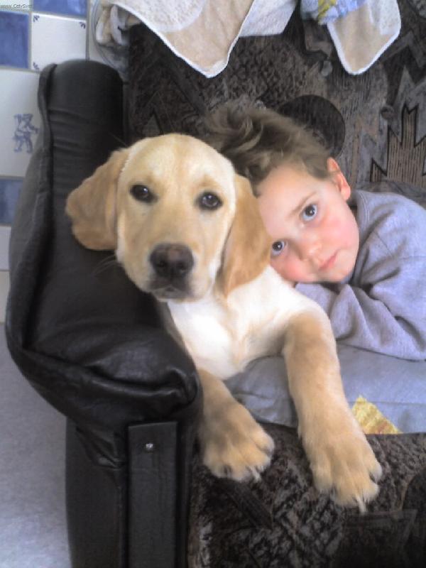 Foto: To jsme dvojka...-Denny a Romanek