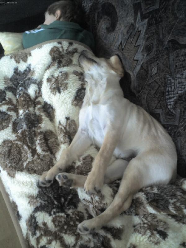 Foto: A gauc je jen nas...-Denny a Romanek