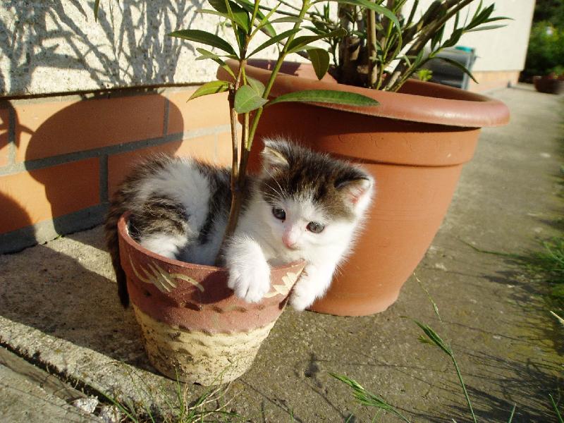 Foto: To je moje kytka!