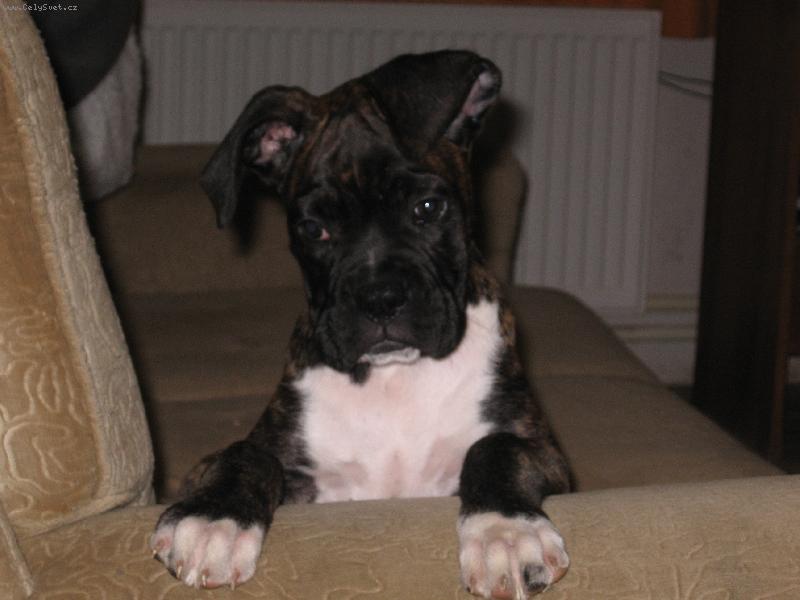 Foto: J� jsem mali�k�-�t�n�