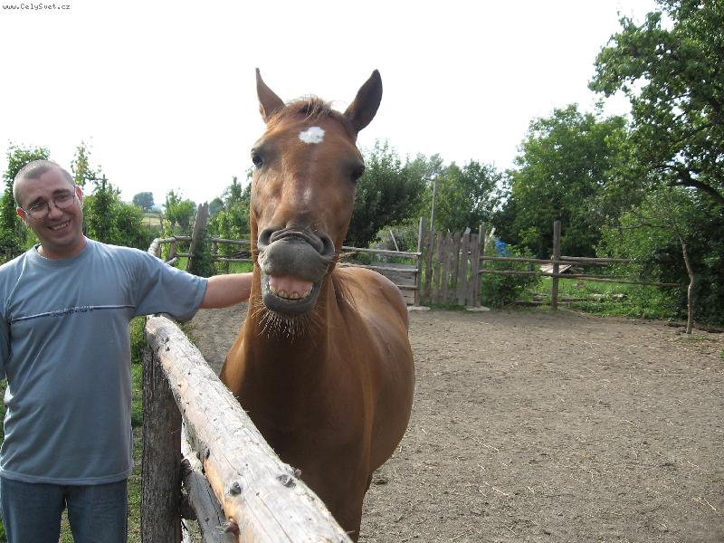 Foto: Jenom �krabej po��dn�-H��b�