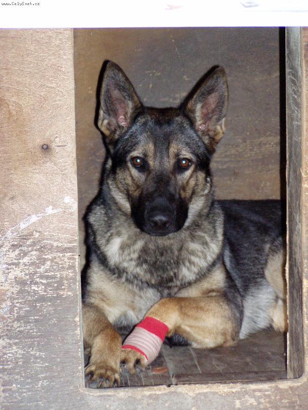 Foto: Erika a nemocn� packa-kdy� jsem m�la nemocnou packu, nem�la jsem n�ladu