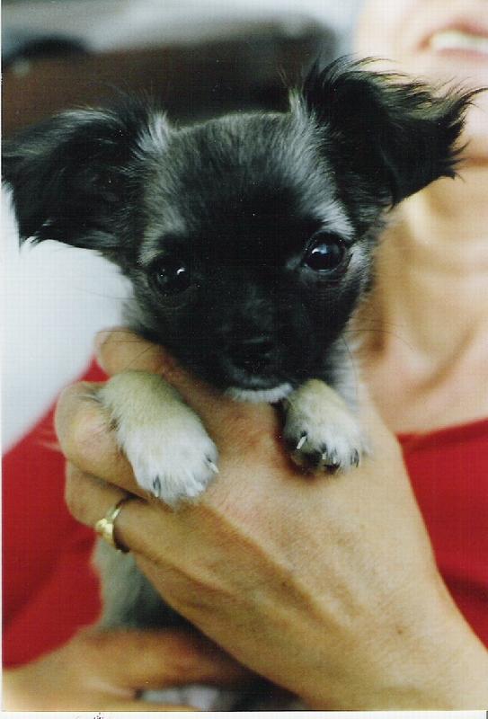 Foto: Mal� princezna