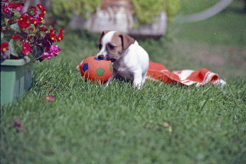 Foto: Poprv� venku-Kdy� jsem byla poprv� venku