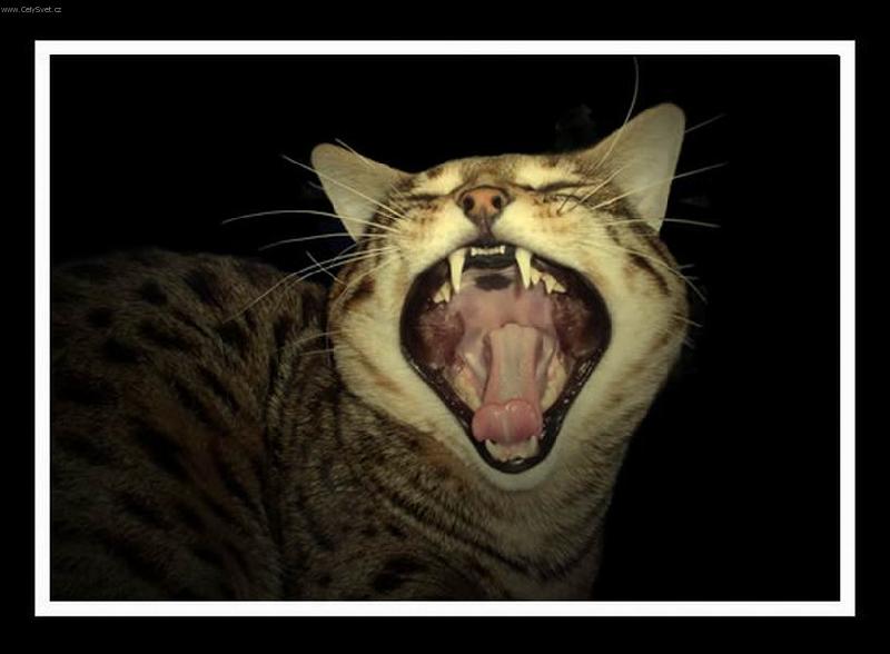 Foto: Zhasni to sv�tlo, nebo....