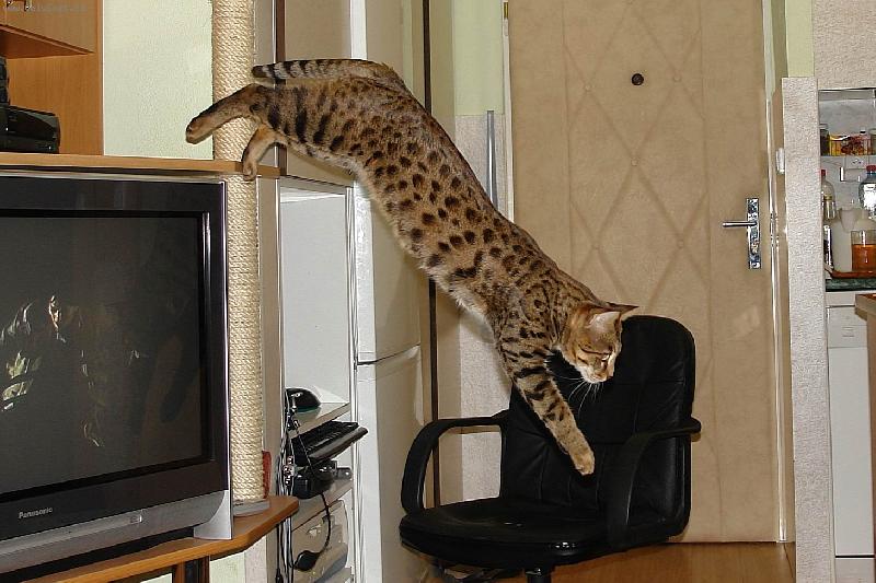 Foto: �up a jsem tam.