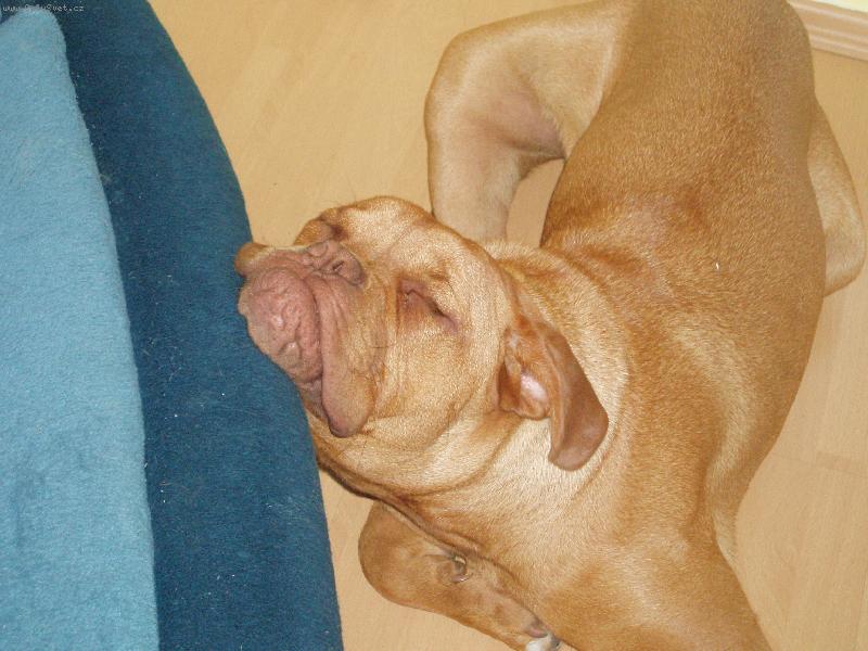 Foto: Samira-neru�it spim ! Samira