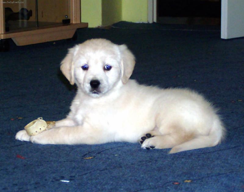 Foto: tak te� m� vyfo�