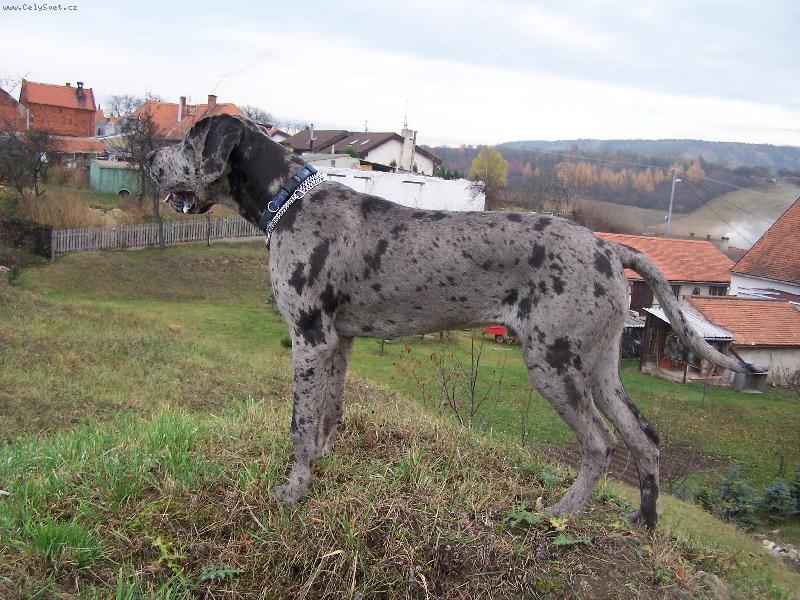 Foto: IGOREK-to to let�, je mi 7m�s�c�