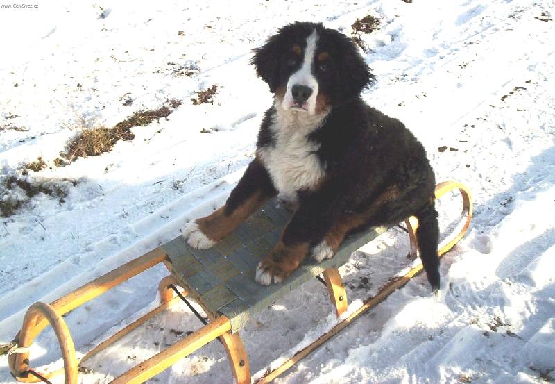 Foto: Bary-a u� fr��m