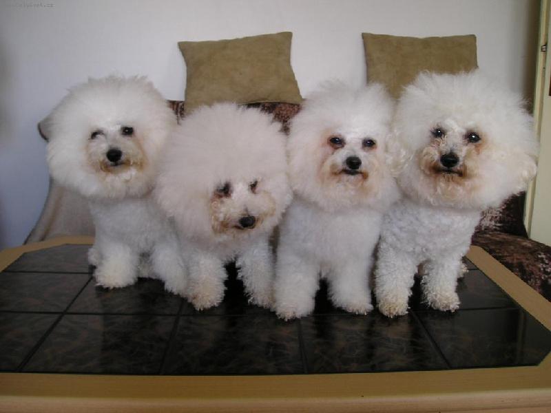 Foto: na�e rodinnka