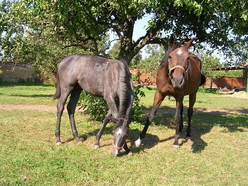 Foto: Maminka s dceru�kou-Nefooo� u� !!!