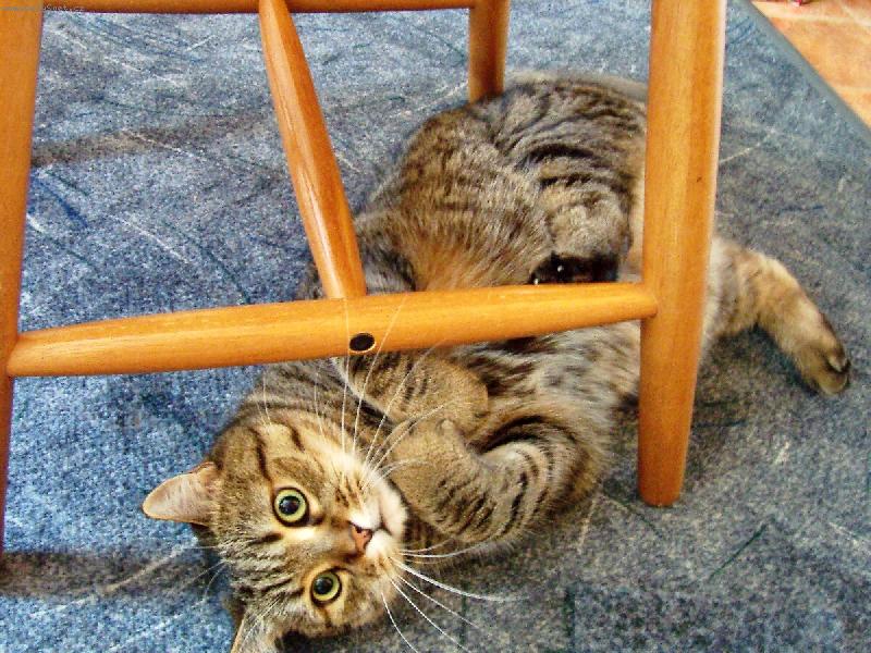 Foto: Poj� budeme si hr�t..