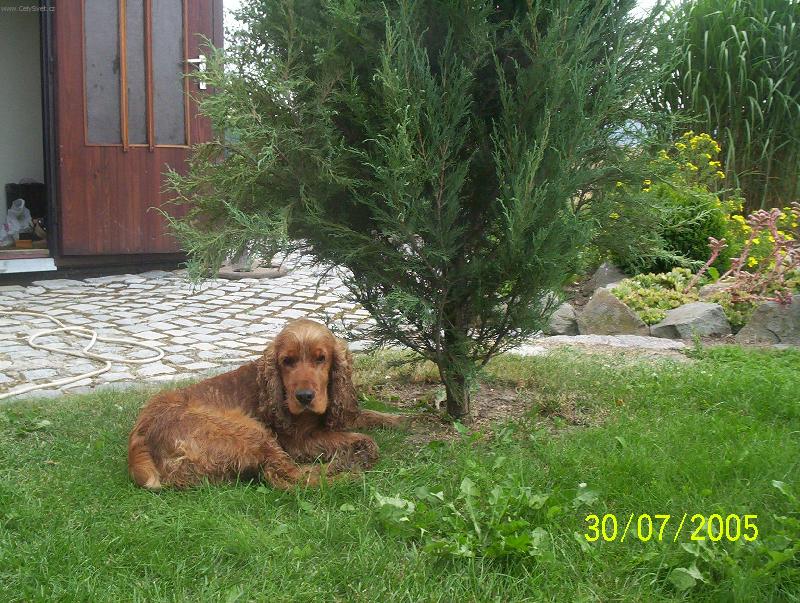 Foto: Keny-to je pohoda