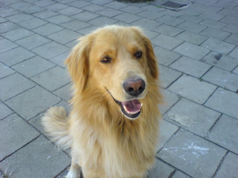 Foto: Conny-Conny um� b�t i milej