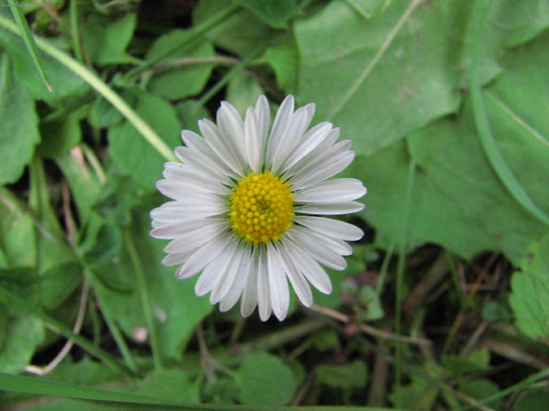 Foto: Kr�sa p��rody-Skrt� kr�sa