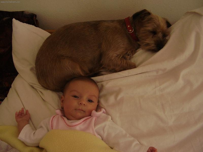 Foto: Pro� m� po��d hl�d�?-Nete� s mazl��kem