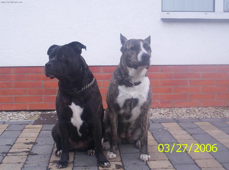 Foto: v pr�ci na hl�dce